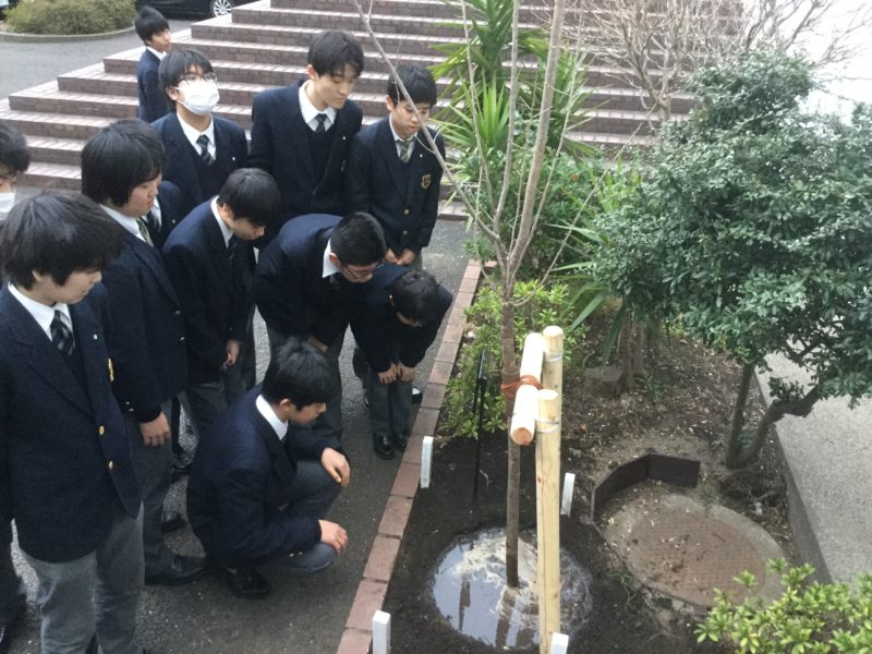 金沢区民栄誉賞「山桜賞（団体賞）」副賞の山桜の植樹式を行いました
