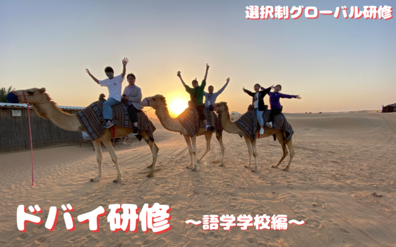 ドバイ研修 ～語学学校編～