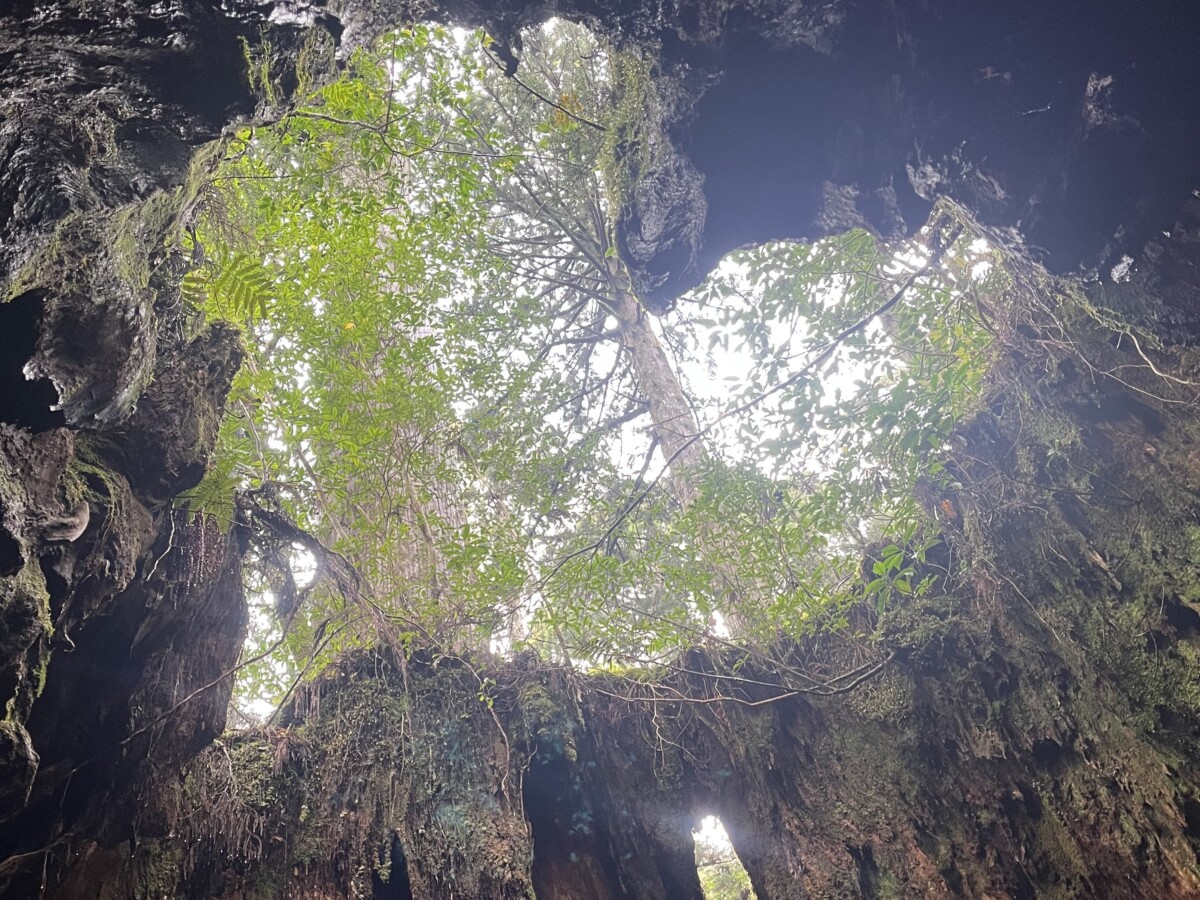 屋久島・種子島研修へ行ってきました 関東学院六浦中学校・高等学校
